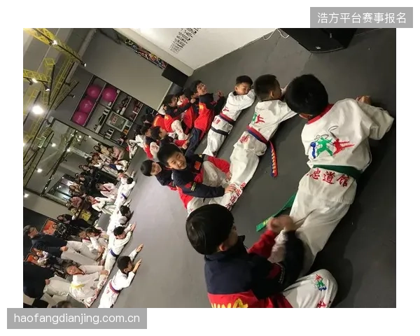 跆拳道国际交流营扩展到更多发展中国家