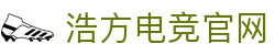 浩方电竞平台官网-官方APP下载|多人在线联机平台-浩方对战平台
