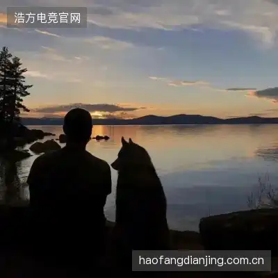 吉秋晔